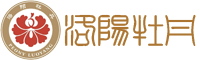 洛阳牡丹繁殖基地