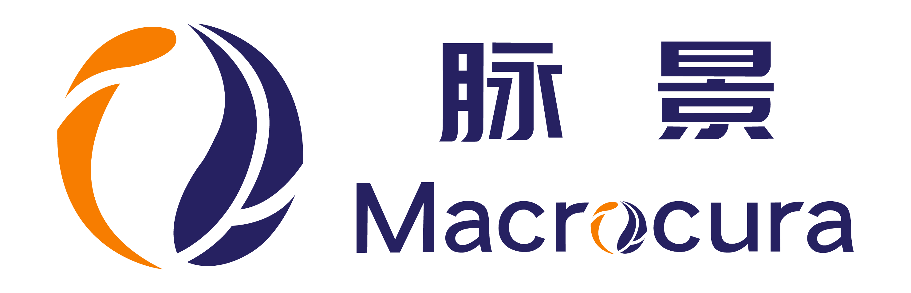 脉景智能