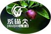 马家洞油茶