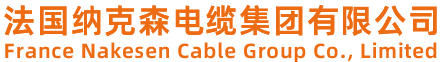 法国纳克森电缆集团有限公司