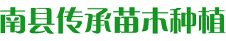 南县传承苗木种植专业合作社
