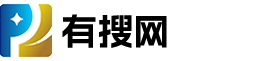上海有搜信息科技有限公司