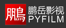鹏岳影视