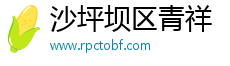 沙坪坝区青祥网络技术工作室（个体工商户）