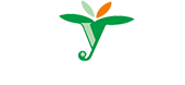 开元集团
