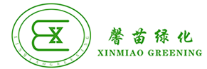 成都温江苗木批发