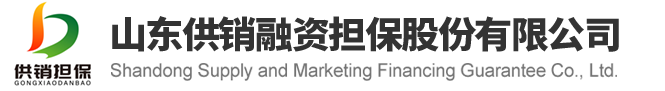 山东供销融资担保股份有限公司