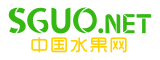 水果批发