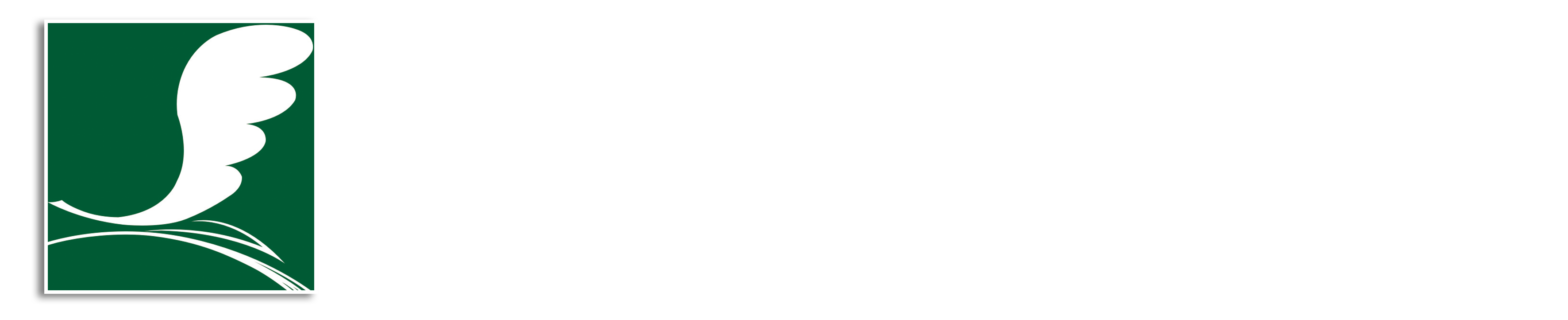 首页