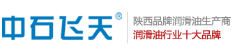 陕西中石飞天科技有限公司