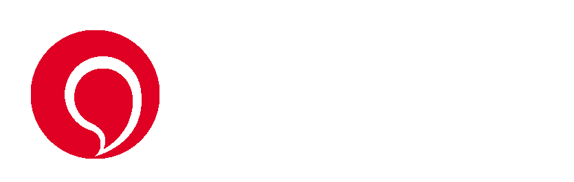 SEO·品牌推广·网络营销策划·王通