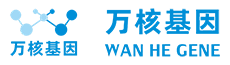 亲子鉴定