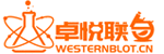 北京卓悦联合生物科技有限公司westernblot-SUDGEN-实验室试剂、耗材、仪器采购平台western blot