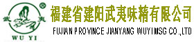 网站首页