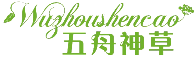 五舟神草