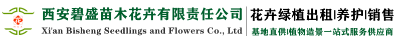 西安绿植租赁公司