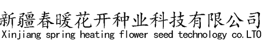 新疆牧草种子,草坪种子,花卉种子批发