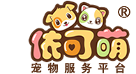 选择城市