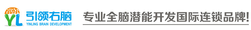 引领右脑潜能开发网
