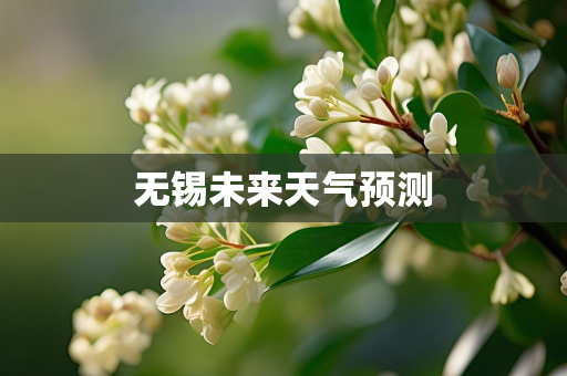 气候信息知识