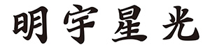 卡车柴油增压泵