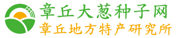 章丘大葱种子