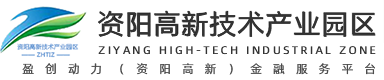 资阳高新金融服务平台