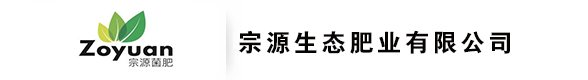 首页
