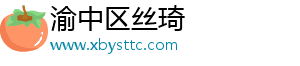 渝中区丝琦网络科技工作室（个体工商户）