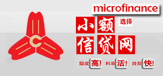 小额信贷网