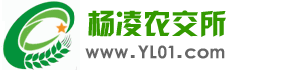 香蕉批发