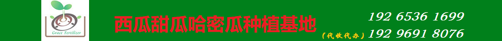 西瓜