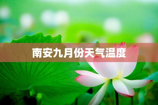 天气报告信息
