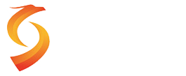 【专注网页设计13年】衡水网站建设