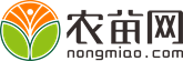 紫穗槐价格