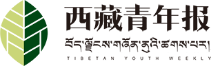 西藏青年报藏文版