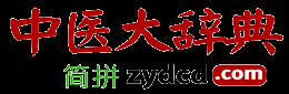 中医大辞典